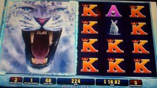 Snow Leopard Slot Machine Bonus - 8 Free Spins Win with Multiple Wild Reels