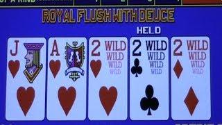 Royal Flush with Deuce: Gameking Video Poker