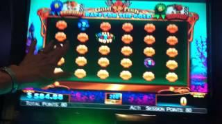 Goldfish Race for the Gold Slot Machine Bonus - Race Bonus