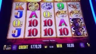 Slotmanjack $800 live lets win! Buffalo Gold to Start!