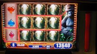 Queen of the Wild BIG WIN - Slot Machine Bonus Round Free Games - Gorillas in the Mist 2!