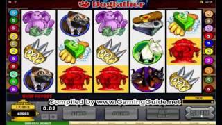 All Slots Casino Dogfather Video Slots