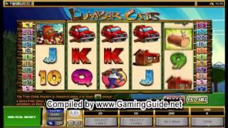All Slots Casino Lumber Cats Video Slots