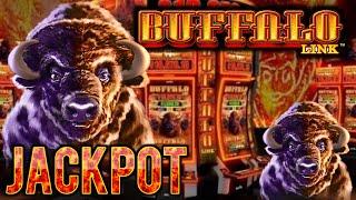 Lighting Link Best Bet & Buffalo Link HANDPAY JACKPOTS ~ HIGH LIMIT $100 Bonus Round Slot Machine