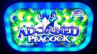 Adorned Peacock -  70 Free Games + Credit Prize