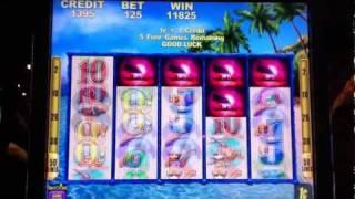 Aloha Paradise Slot Free Spin Bonus Game with retrigger! ($1.25 Bet)