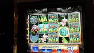 Jungle Wild Slot Bonus Dollar Domination