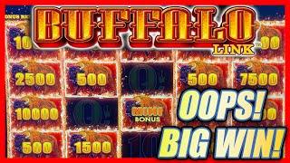 OOPS! I WAS CHECKING FOR BUFFALOS AND IT MADE A BET  ⋆ Slots ⋆  LANDED MY BIGGEST WIN ON BUFFALO LINK!
