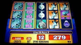 King of the Wild Slot Machine Bonus Win (queenslots)