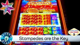 ⋆ Slots ⋆️ New - Raging Stampede Slot Machine