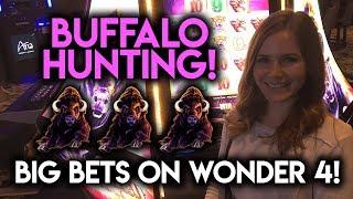 Hunting for Buffalos! Big Bets on Wonder 4 Buffalo and Wicked Winnings!!!