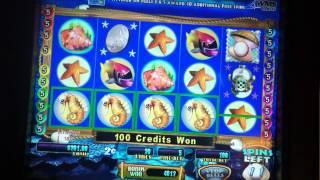 Dashing Dolphins Slot Machine Bonus
