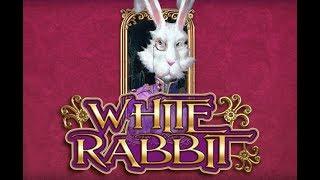 White Rabbit BIG WIN - HUGE WIN - And eating dog food!!!