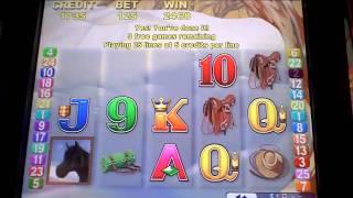 Black Mustang Bonus Win at The Borgata Casino