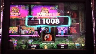Prowling Panther. Slot Free Spins Max Bet.