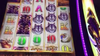 Buffalo Grand Slot Machine Bonus Game