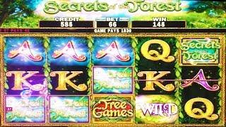 Secrets of the Forest slot machine, DBG