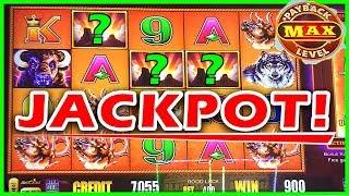 •JACKPOT HANDPAY! • BUFFALO MAX Slot Machine Bonus MAX BET SUPER BIG WIN•