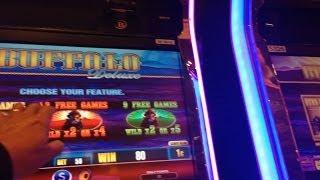 Aristocrat's Buffalo Deluxe Slot Machine - Bonus Choice - Did It Result In A Big Win?