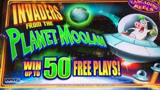 Planet Moolah Slot win * Buffalo Stampede BIG WIN line hit  * 100 Lions slot