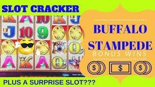•Buffalo Stampede WIN! + Surprise Slot Machine!•