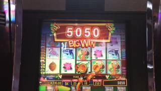 Lucky Meerkats Slot Machine - Line hit - BIG WIN!!!