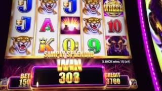 Buffalo Grand Slot Machine Line Hit #2 New York Casino Las Vegas