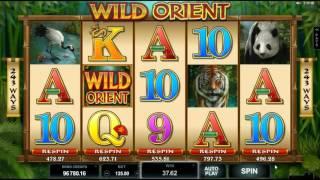 Wild Orient• - Onlinecasinos.Best