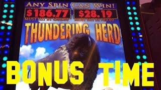Thundering Herd Live Play max bet $5.00 with BONUS Multimedia Everi Slot Machine