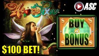 $100 BET! ACORN PIXIE | Bally - BUY-A-BONUS Slot Machine Win w/ Dianaevoni