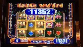Jungle Wild 3 Slot Machine Bonus - BIG Win!
