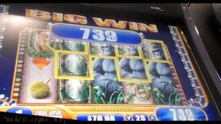 Queen of The Wild Slot Machine Bonus