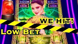 BIG•WIN•8 Petals Slot Machine •IT DOES HAPPEN!•Bonsai Yama Review• Las Vegas Slots with friends!!