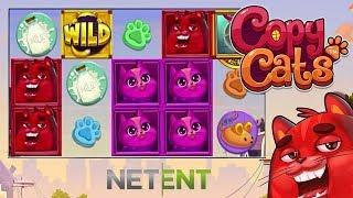 Copy Cats Online Slot from NetEnt