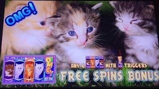 OMG! Kittens Slot Machine Bonus At Bellagio