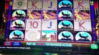 **LIVE PLAY COYOTE MOON** WTF!!! $200 A BET!! YOU GOTTA SEE THIS!! BACK TO BACK HANDPAYS!!!