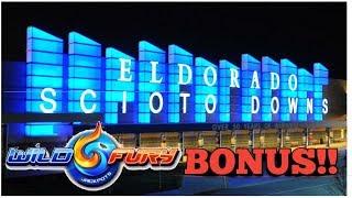 Wild Fury Slot Machine Bonus! | Eldorado Scioto Downs Columbus OH