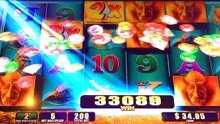 BIG WIN! Raging Rhino Slot Machine Bonus Retrigger ~ WMS
