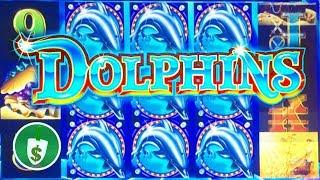 Dolphins Class II slot machine, bonus