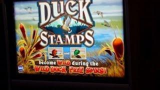 $50 BET IGT Duck Stamps slot machine HIGH LIMIT Free spin bonus Decent win