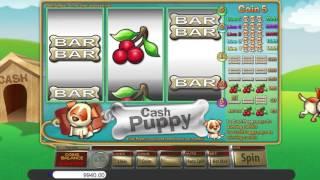 Cash puppy• free slots machine by Saucify preview at Slotozilla.com