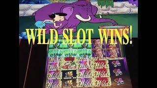 BIG and HUGE WILD Slot Machine WINS!  Max Bet!