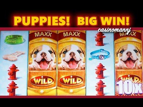OMG! PUPPIES SLOT - 10X! - **BIG WIN** - Slot Machine Bonus