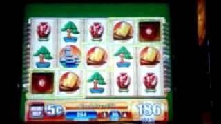 Samurai casino  slot game - LINE HIT