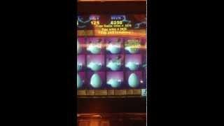 •Dream Time Slot machine•NICE BONUS WIN•2￠Slot 125 bet ($2.50) x 111