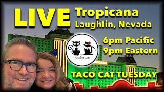 LIVE: Taco Cat Tuesday 09/17/2019