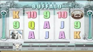 FREE White Buffalo ™ Slot Machine Game Preview By Slotozilla.com