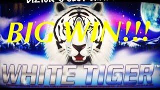 White Tiger Slot Machine ~ FREE SPIN BONUS! ~ BIG WIN ~ Bay Mills Casino! • DJ BIZICK'S SLOT CHANNEL