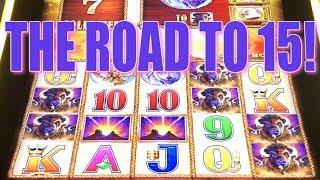 THE ROAD TO 15 BUFFALO GOLD HEADS!