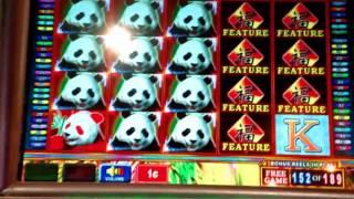 Fun night with the Pandas over 200 FREE SPINS!! 100x MY BET!!!! BIG WIN!!!